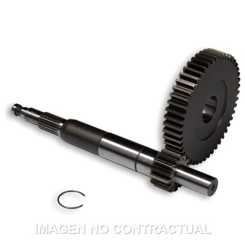 desarrollo primario largo gilera dna 6711602