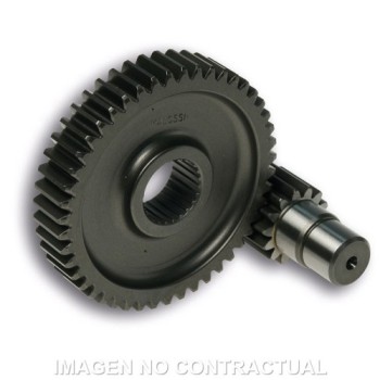 desarrollo secundario largo 14 47 dientes zip 678939