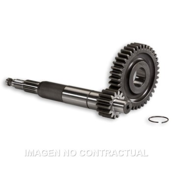 desarrollo primario largo gilera runner 679080