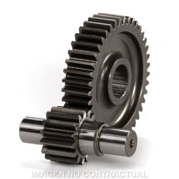 desarrollo secundario runner 125 679614