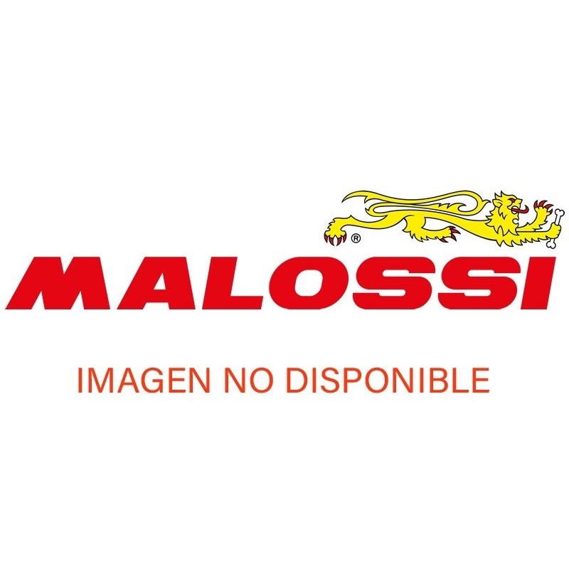 tornillo ralenti c muelle phbg malossi phbh phf b53028