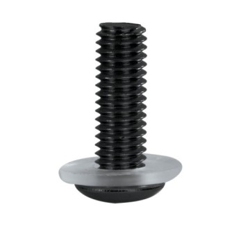 kit tornillos anodizados oxford screen screw 8 piezas llave 4 mm
