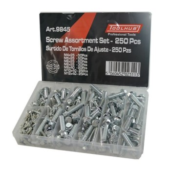 surtido tornillos metricos toolhub 9845 para moto automocion 250 pzs