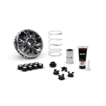 variador malossi 5120290 multivar 2000 para zontes 350 y 368