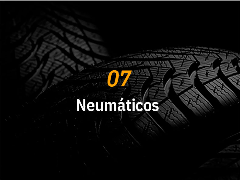 Distribución de Neumáticos para el Automóvil